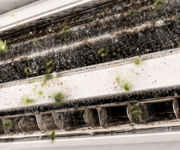 自體防霉不等於不會發霉！冷氣防霉失效原因完整整理